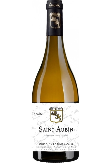 FABIEN COCHE SAINT AUBIN BLANC