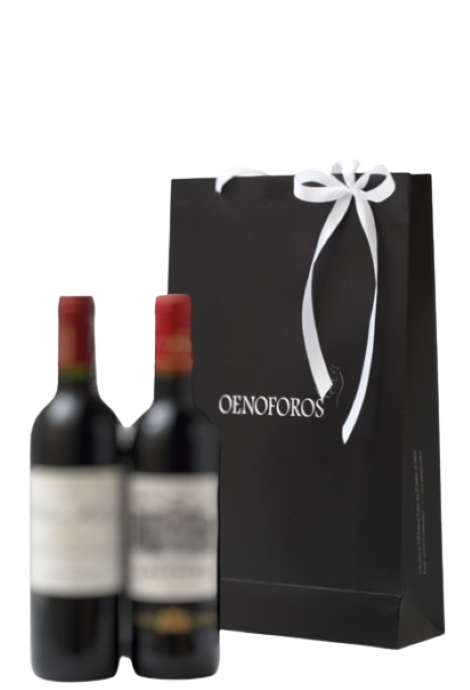 GIFT BAG 2 BOTTLES